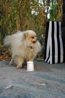 Oct10aa_04_234.JPG