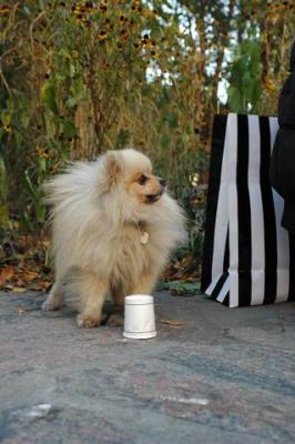 Oct10aa_04_235.JPG