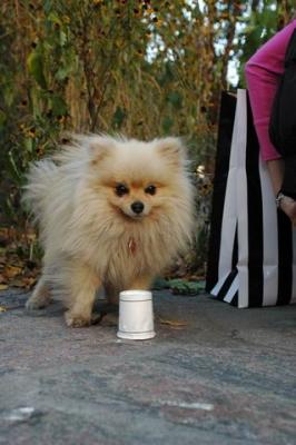 Oct10aa_04_236.JPG