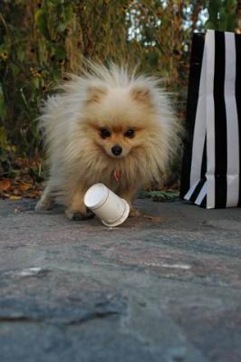 Oct10aa_04_237.JPG