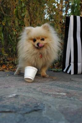 Oct10aa_04_238.JPG