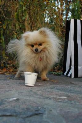 Oct10aa_04_239.JPG