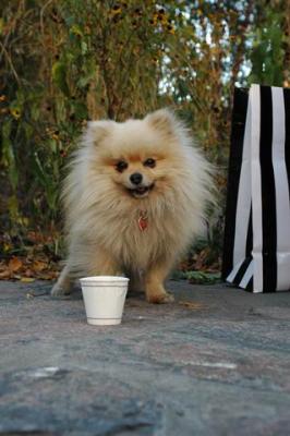 Oct10aa_04_240.JPG