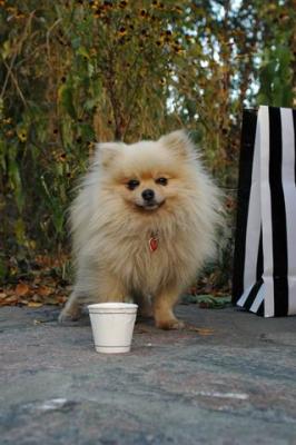 Oct10aa_04_241.JPG