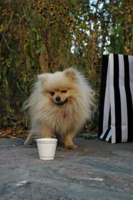 Oct10aa_04_245.JPG
