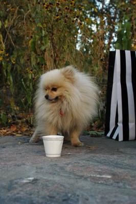 Oct10aa_04_246.JPG