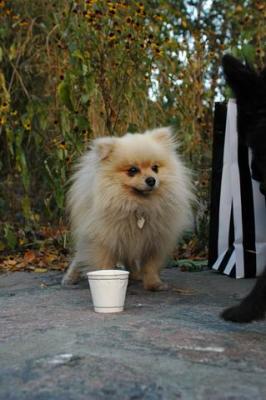 Oct10aa_04_247.JPG