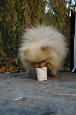 Oct10aa_04_250.JPG