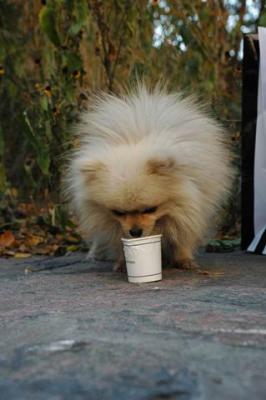 Oct10aa_04_251.JPG