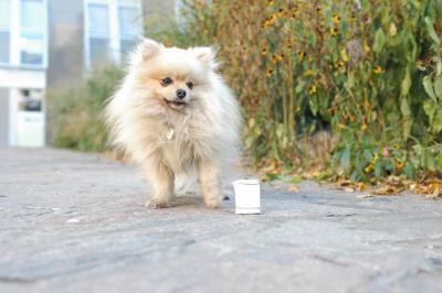 Oct10aa_04_314.JPG