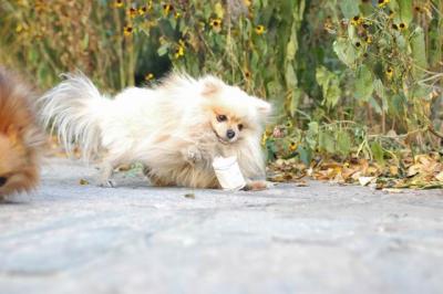 Oct10aa_04_322.JPG