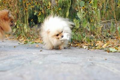 Oct10aa_04_324.JPG