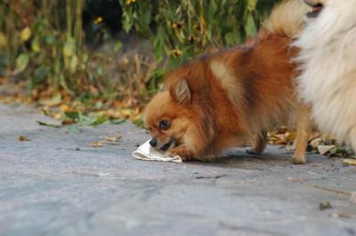 Oct10aa_04_328.JPG