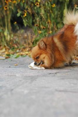 Oct10aa_04_329.JPG