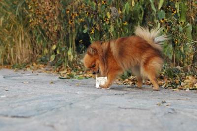 Oct10aa_04_333.JPG