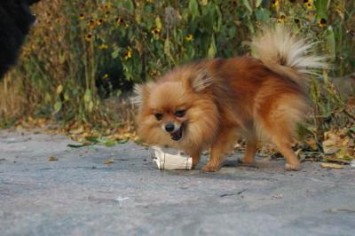 Oct10aa_04_335.JPG