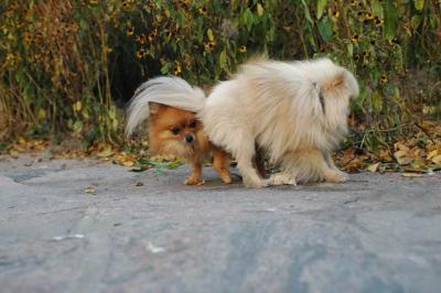 Oct10aa_04_352.JPG