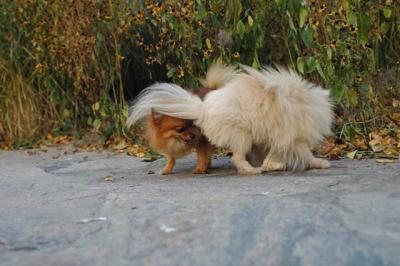 Oct10aa_04_353.JPG