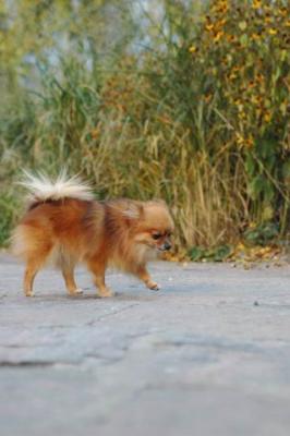 Oct10aa_04_401.JPG