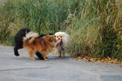 Oct10aa_04_419.JPG