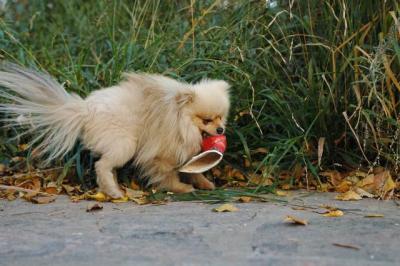 Oct10aa_04_424.JPG