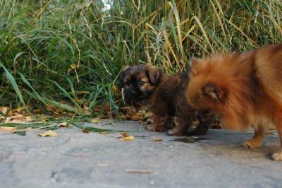 Oct10aa_04_430.JPG