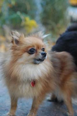 Oct10aa_04_434.JPG