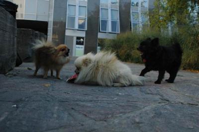 Oct10aa_04_440.JPG