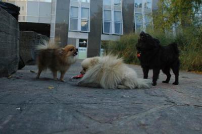 Oct10aa_04_441.JPG