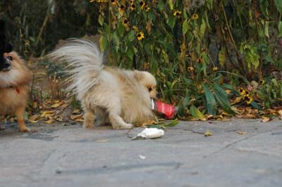 Oct10aa_04_447.JPG