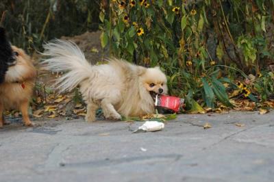 Oct10aa_04_448.JPG