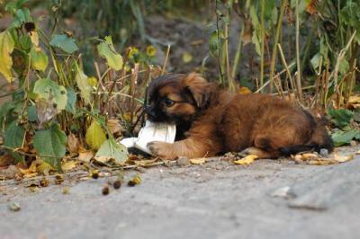 Oct10aa_04_453.JPG