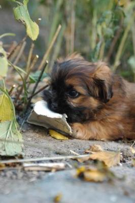 Oct10aa_04_460.JPG