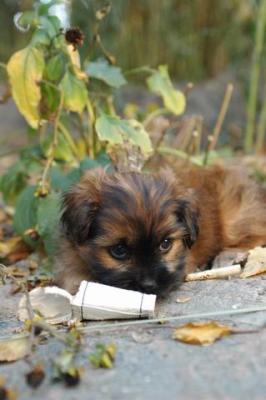 Oct10aa_04_473.JPG