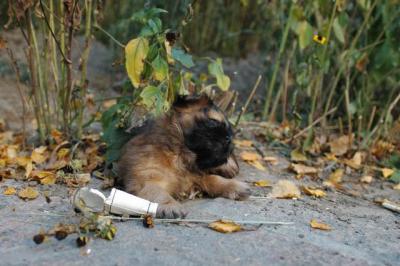 Oct10aa_04_474.JPG
