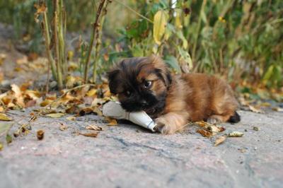 Oct10aa_04_477.JPG