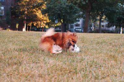 Oct11_04_039.JPG
