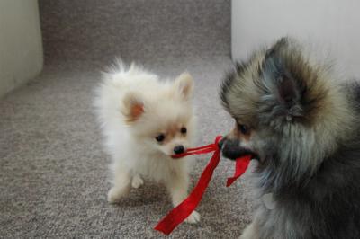 Feb21b_05_008.JPG