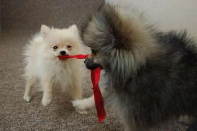 Feb21b_05_009.JPG