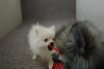 Feb21b_05_010.JPG