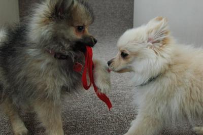 Feb21b_05_016.JPG