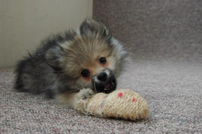 Feb21b_05_026.JPG