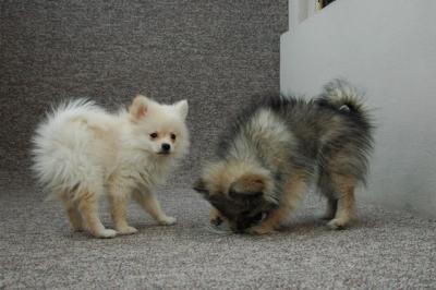 Feb21b_05_034.JPG