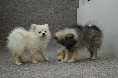 Feb21b_05_035.JPG