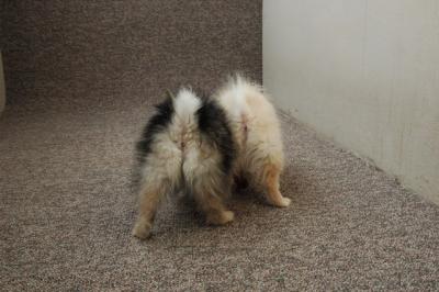 Feb21b_05_070.JPG