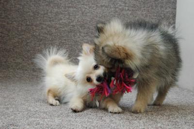 Feb21b_05_084.JPG