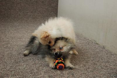 Feb21b_05_087.JPG