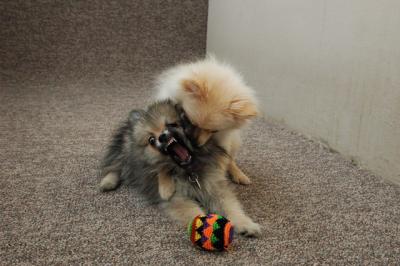 Feb21b_05_088.JPG