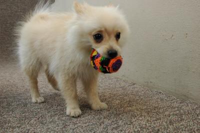 Feb21b_05_101.JPG