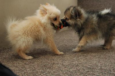 Feb21b_05_103.JPG
